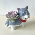 Cute dog planter with a succulent growing out of its back, holding a bone.