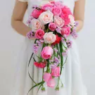 A cascading bouquet of pink and cream roses with purple filler flowers.