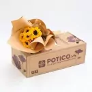 Sunflower bouquet in brown paper on POTICO.VN flower box.