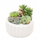 White ceramic pot with assorted succulents and a small cat figurine.