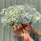 A basket of white baby's breath flowers tied with a pink ribbon.
