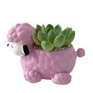 Pink poodle planter with a succulent plant inside.