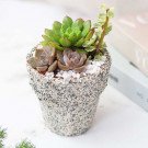 A speckled pot filled with various small, green and pink succulents, topped with white pebbles.