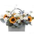 Basket arrangement of sunflowers, white daisies, and greenery, tied with a ribbon.
