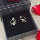 Cơ Bản