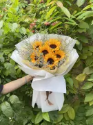 Sunflower bouquet with purple aster and baby's breath, wrapped in white paper.