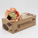 A bouquet of small white flowers wrapped in peach paper sits atop a cardboard box with "POTICO.VN" printed on it.