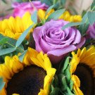 Violet rose surrounded by sunflowers and eucalyptus leaves.