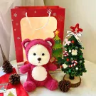 Pink teddy bear with hood, small Christmas tree, pine cones, and red gift bag.