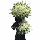 White orchid funeral wreath with black ribbon and banner.