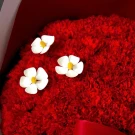 A bouquet of red carnations with three white and yellow wooden daisies.