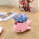A pink whale-shaped succulent planter with a blue succulent.