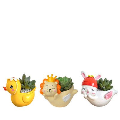 Three cute succulent planters: a duck, a lion with a crown, and a bunny in a hat.