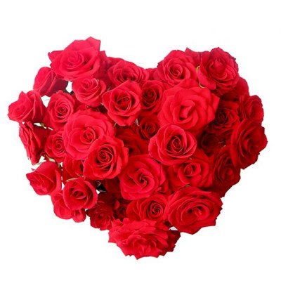 Heart-shaped bouquet of 50 red roses.