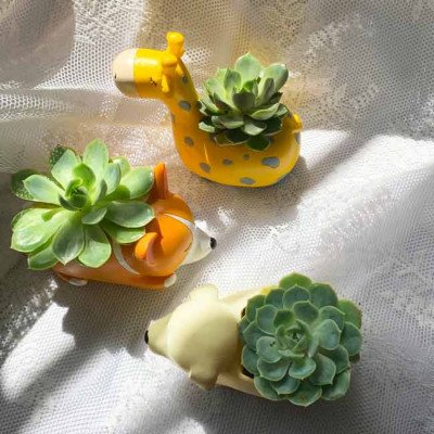 Three cute animal-shaped succulent planters: a giraffe, a corgi, and a bear.
