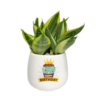 default
