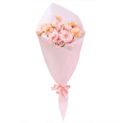 Pink gerbera daisy bouquet wrapped in light pink paper, tied with a pink ribbon.