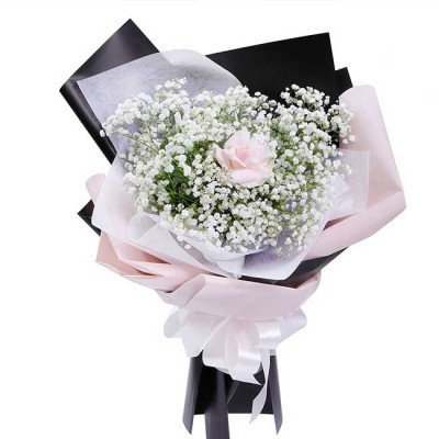 Pink rose surrounded by baby's breath in a bouquet with black and pink paper.