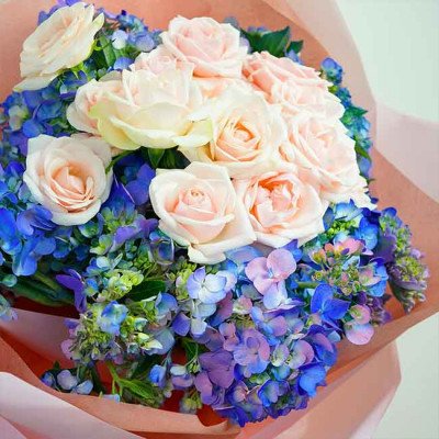 Bouquet of pink roses and blue hydrangeas in pink wrapping paper.