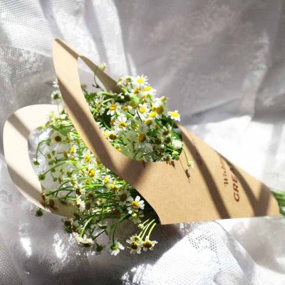 A bouquet of white daisy-like flowers in a brown paper cone.