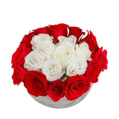 Red and white roses arranged in a glass bowl.