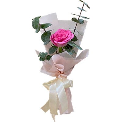 Pink rose with eucalyptus leaves, wrapped in soft pink and white paper, tied with a cream ribbon.