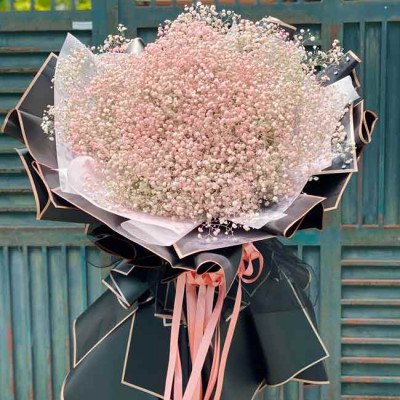 Large bouquet of pink baby's breath flowers with black and white paper wrapping and pink ribbons.