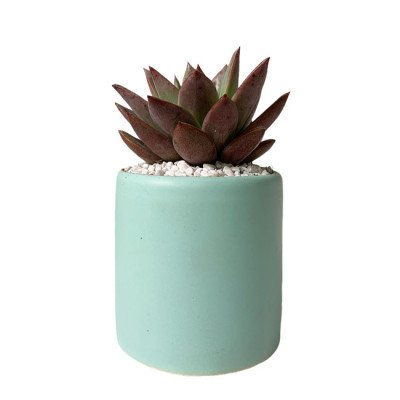 Mint green cylindrical pot with a succulent plant and white gravel.