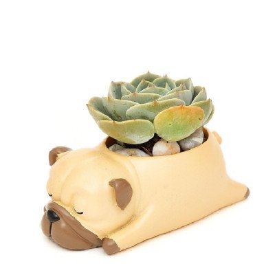 A succulent plant sits in a light tan pug-shaped planter with brown ears and nose.