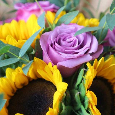 Violet rose surrounded by sunflowers and eucalyptus leaves.