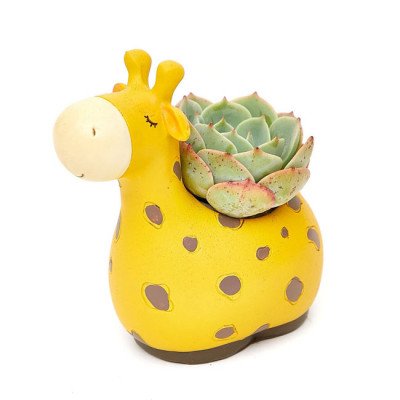 Yellow giraffe-shaped planter with a succulent plant growing from its back.