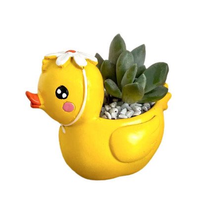 Yellow duck planter with succulent plant and white pebbles.