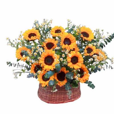 Basket of sunflowers and white flowers with eucalyptus leaves.