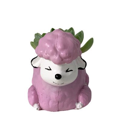 Pink sheep planter with a succulent plant, cute and cozy for any space.
