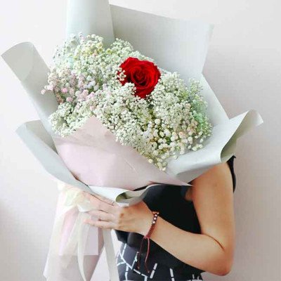 A single red Ecuador rose with baby's breath flowers in a bouquet.