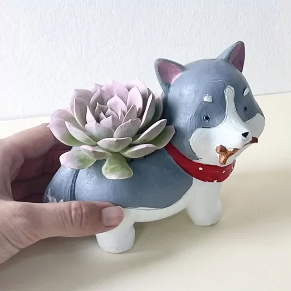 A gray and white husky planter holding a succulent, with a red collar.