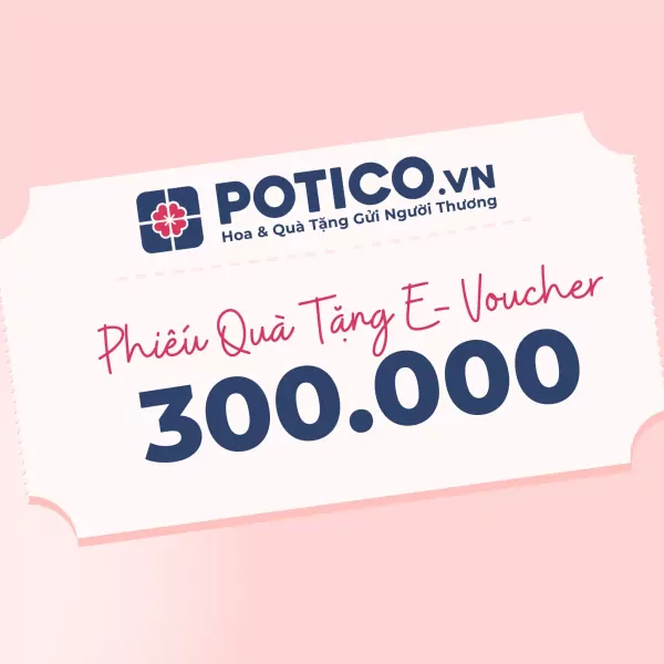 Gift voucher for 300,000 VND from POTICO.VN with floral logo.