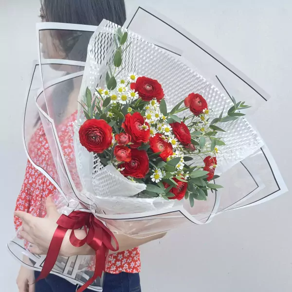 A woman holds a bouquet of red ranunculus and white tana flowers wrapped in clear and white paper, tied with a red ribbon.