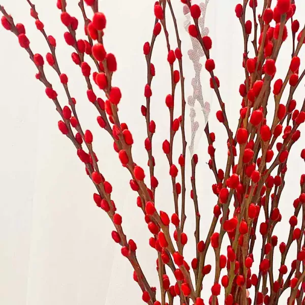 Red pussy willow branches, a symbol of good luck and joy for Tet.