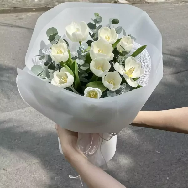 Bó Tulip trắng bình yên
