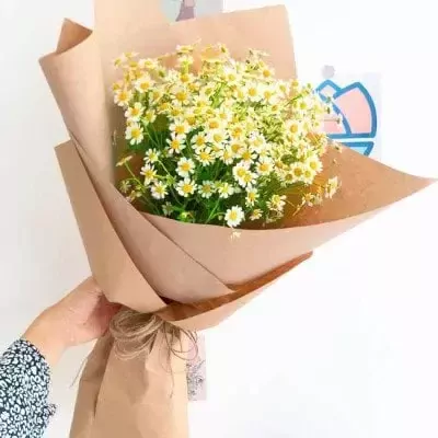 Hand holding a bouquet of small white daisies with yellow centers, wrapped in brown paper.