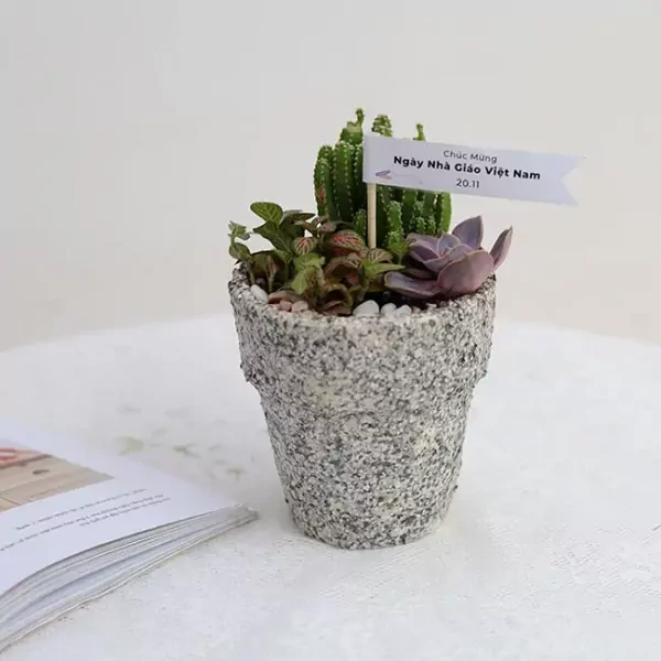 Small succulent garden in a textured pot with a "Happy Teacher's Day" banner.