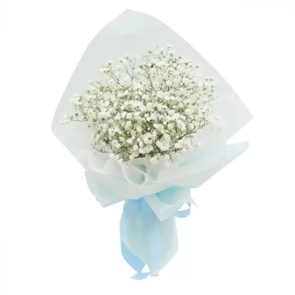 A bouquet of white baby's breath flowers wrapped in light blue paper and ribbon.