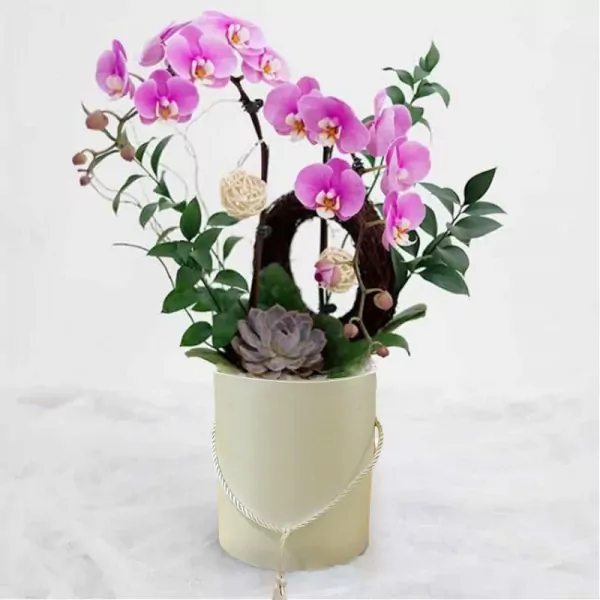 Pink orchids in a pale yellow box with green leaves, a succulent, and decorative balls.