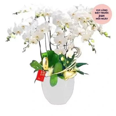 White orchids in a pot with gold accents and a red tag.