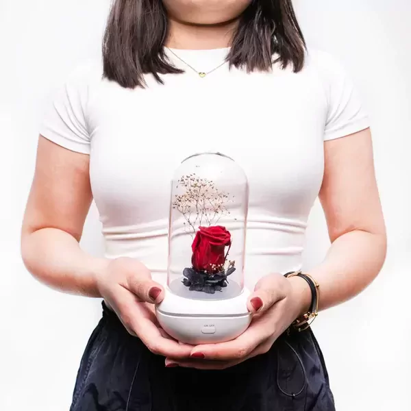 Woman holding a preserved red rose under a glass dome with a night light diffuser.