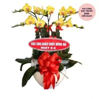 Yellow orchids in a white pot with a red bow and a "Happy Mother's Day" sign.