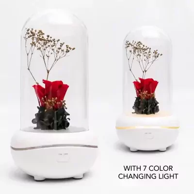 Rose essential oil diffuser night light with red preserved rose under glass dome.