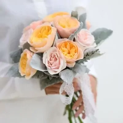 Bouquet of pale pink and yellow roses with dusty grey foliage, tied with white lace ribbon.