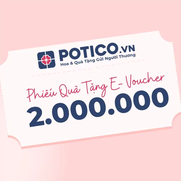 Gift voucher for 2,000,000 VND from POTICO.VN with a floral logo.